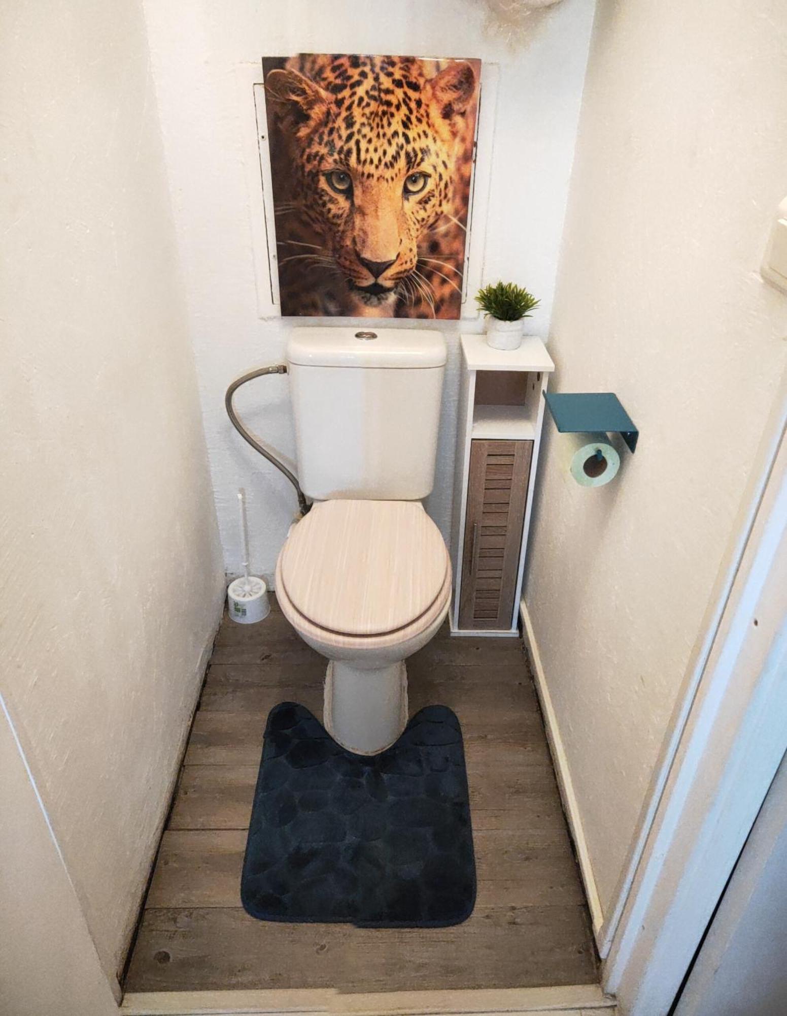 La Perle Marine, Cosy Et Renove, 200 M De La Plage, 1 Chambre, Parking Et Wifi Sète Exterior foto